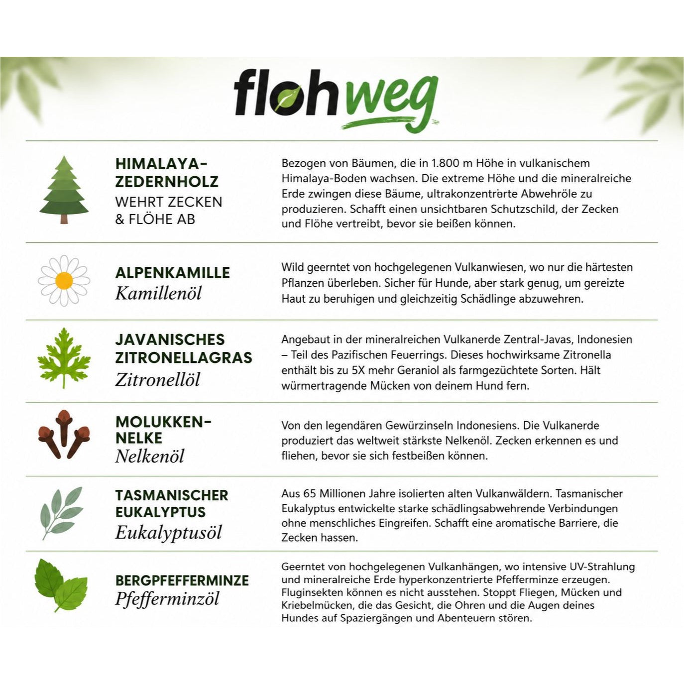Flohweg natürliche Inhaltsstoffe